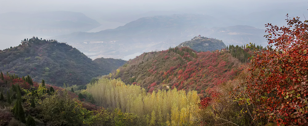_B6A2589-0.jpg