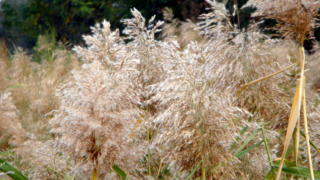 DSC02757.JPG