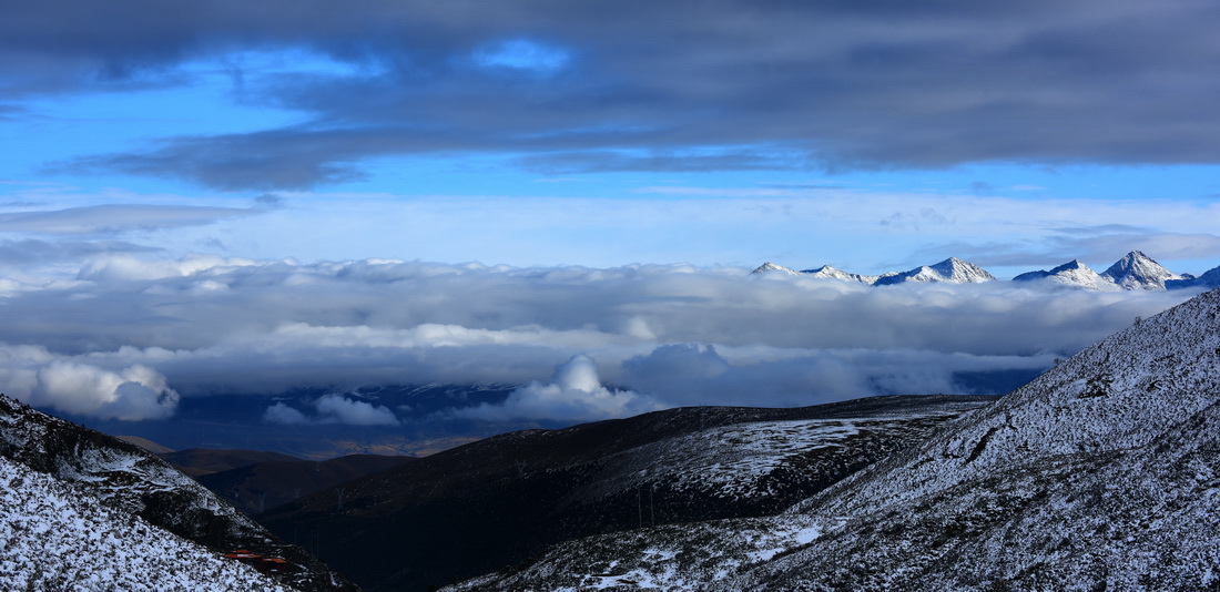 DSC_5749-2.jpg
