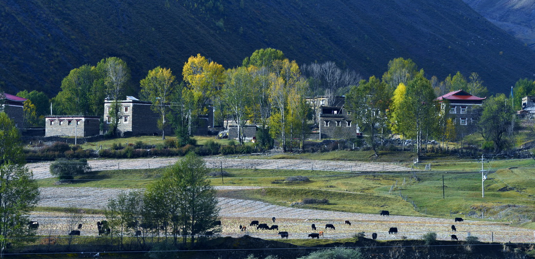 DSC_5903-2.jpg