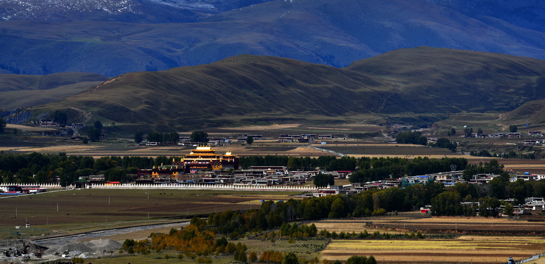 DSC_5680-2.jpg