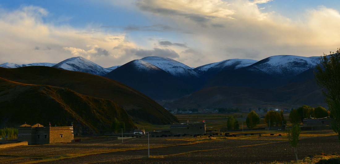 DSC_0019.jpg