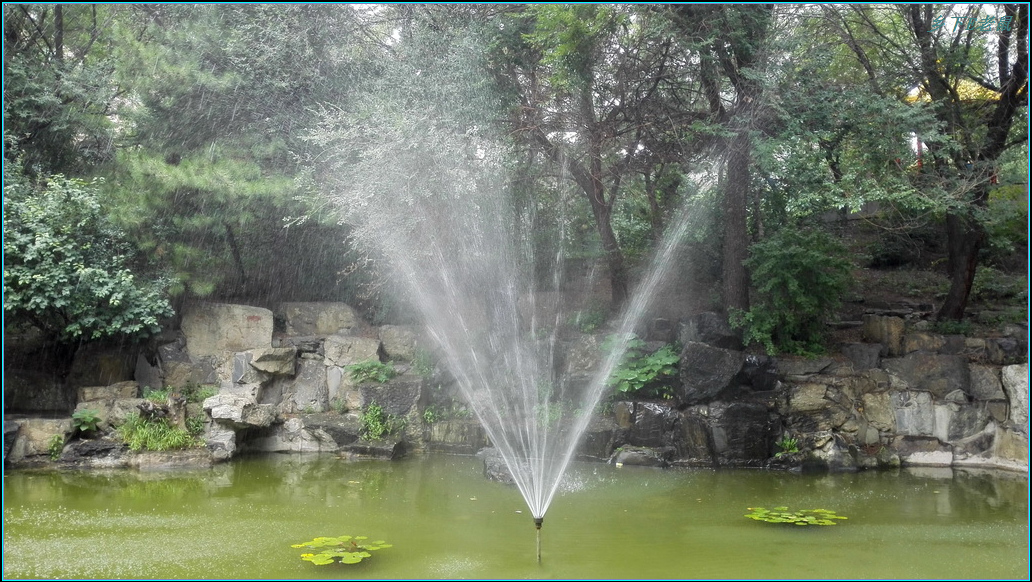 沈阳音乐学院小景1.jpg