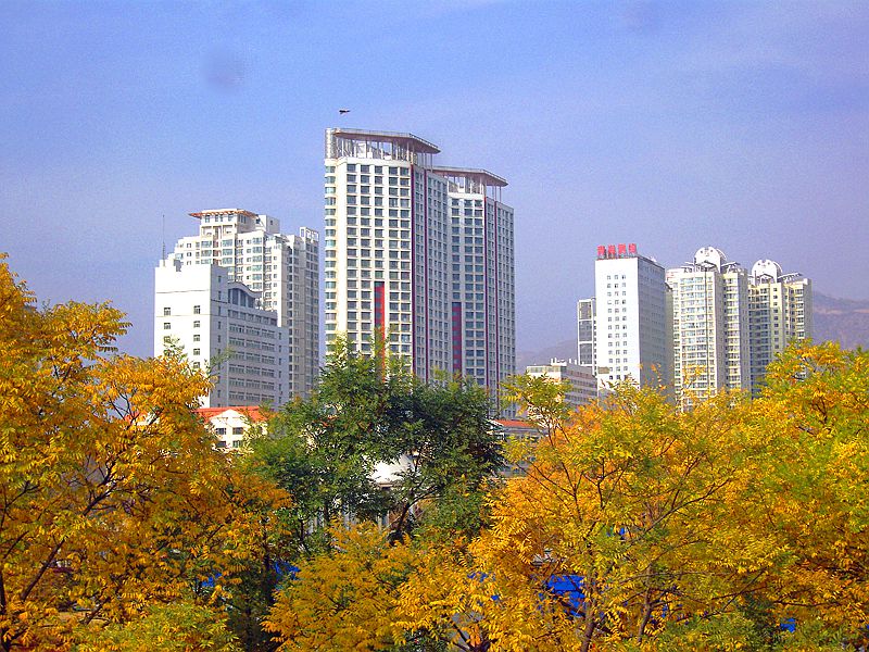SN200015.JPG