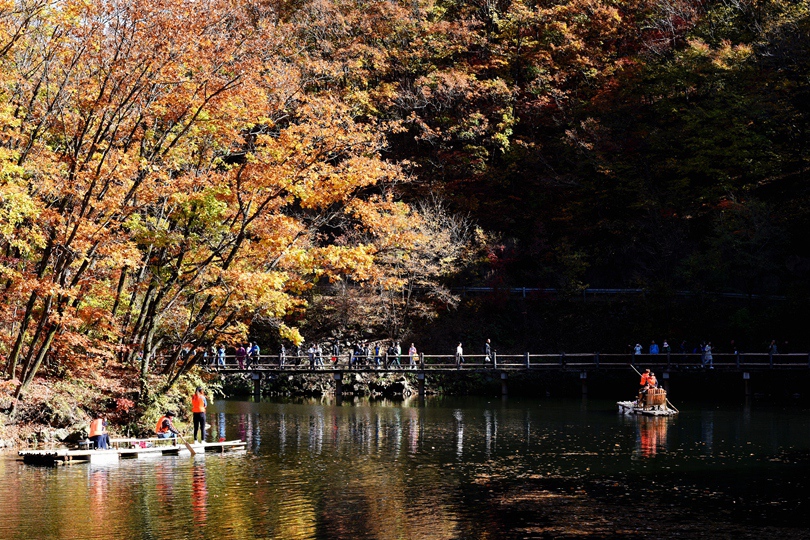 377-湖光秋色DSC_7024_副本_副本.jpg