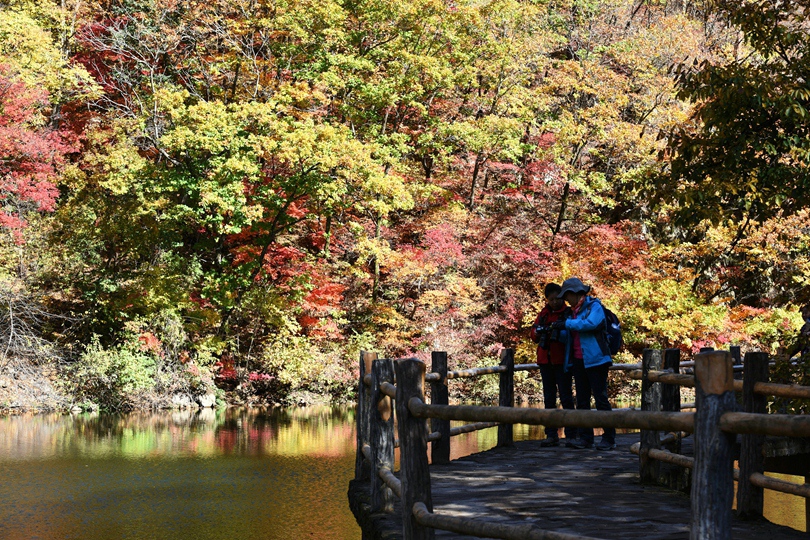 377-湖光秋色DSC_7035_副本_副本.jpg