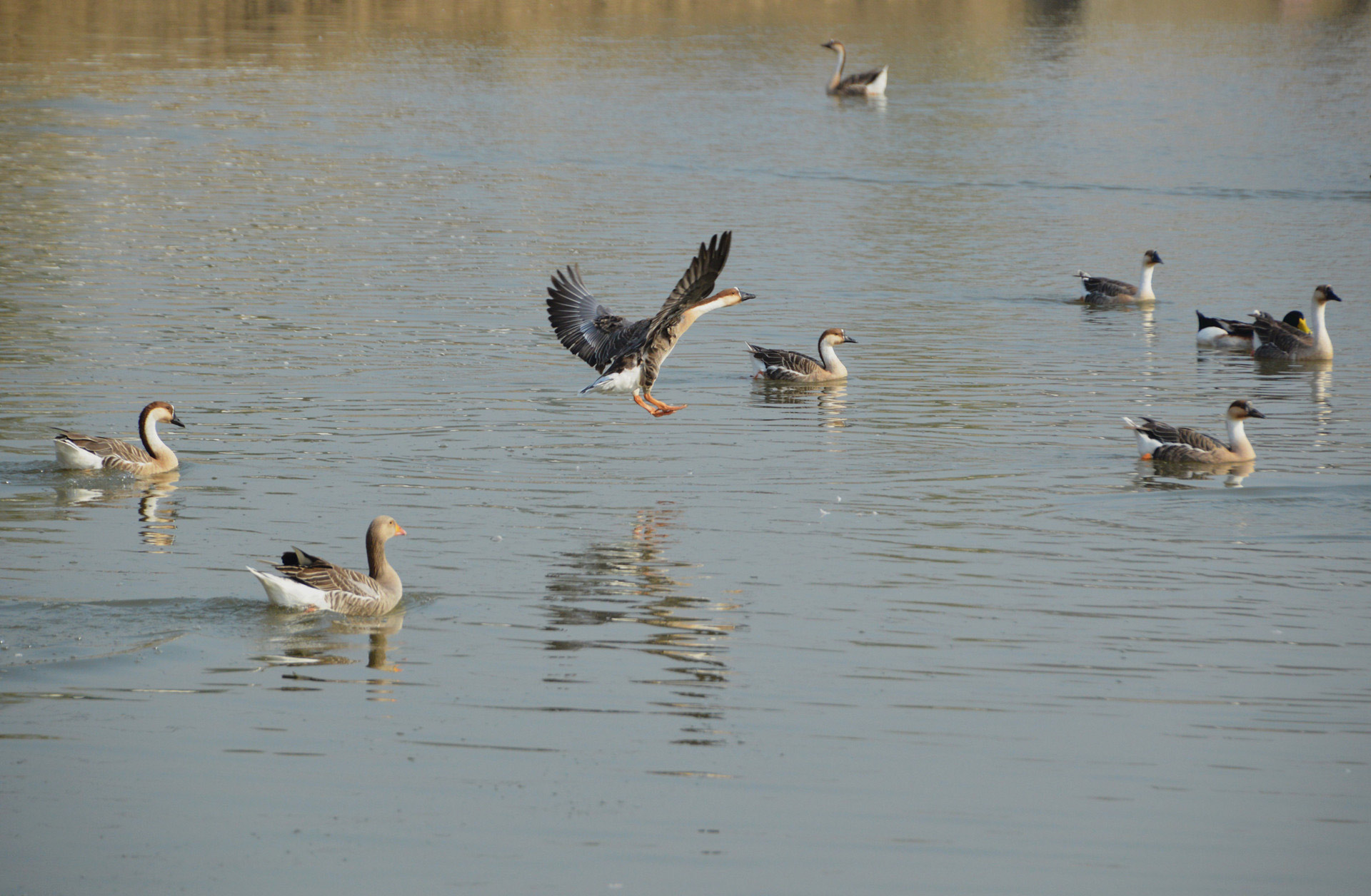 DSC_0105.JPG