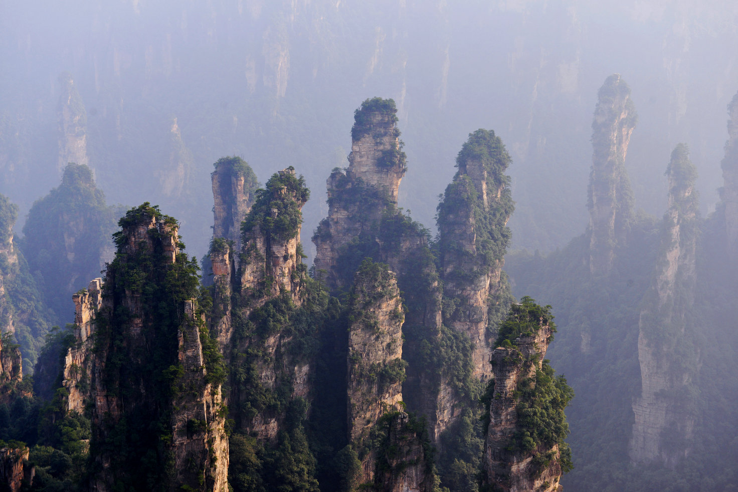 5.DSC_8700.JPG