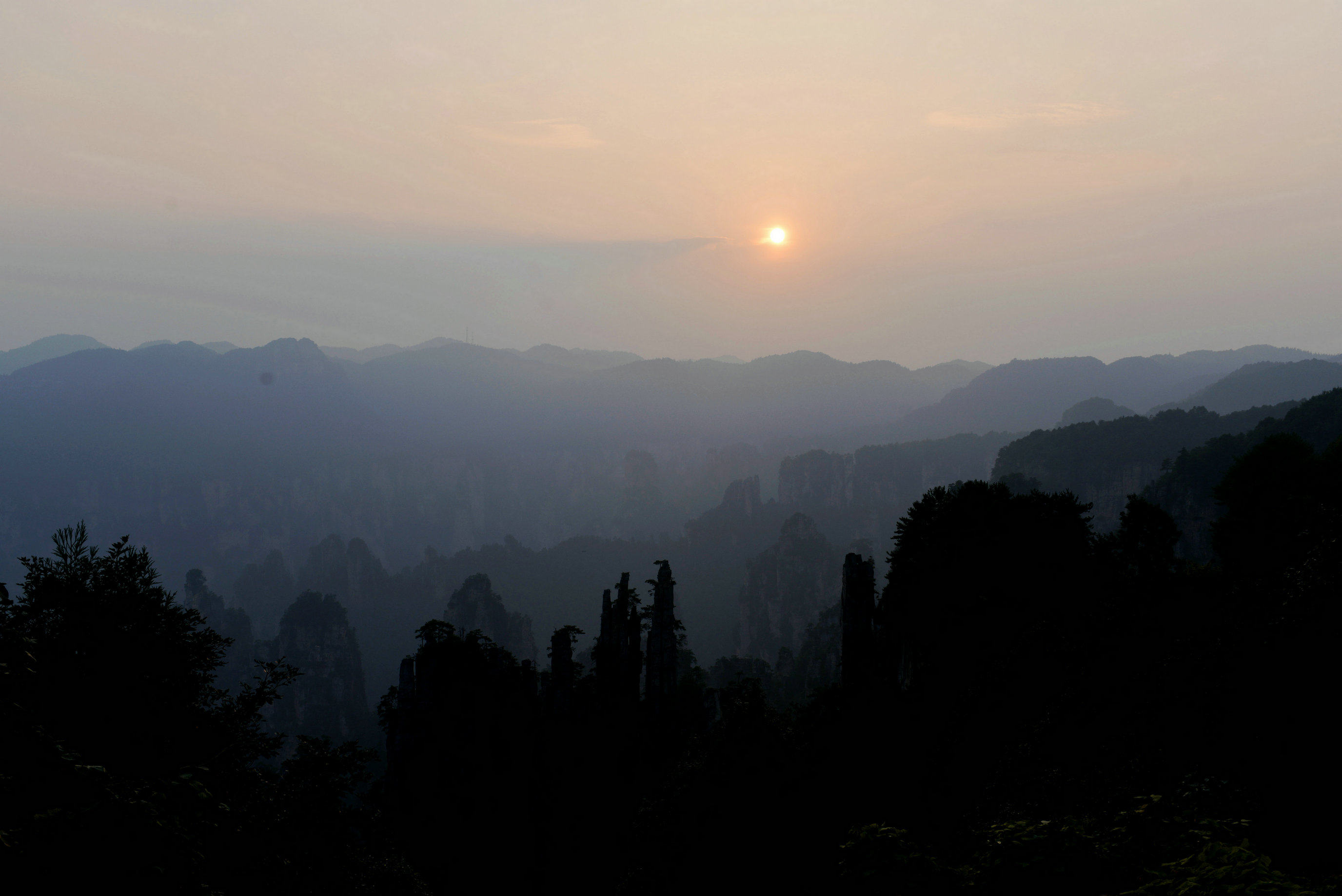 10.DSC_8796.JPG