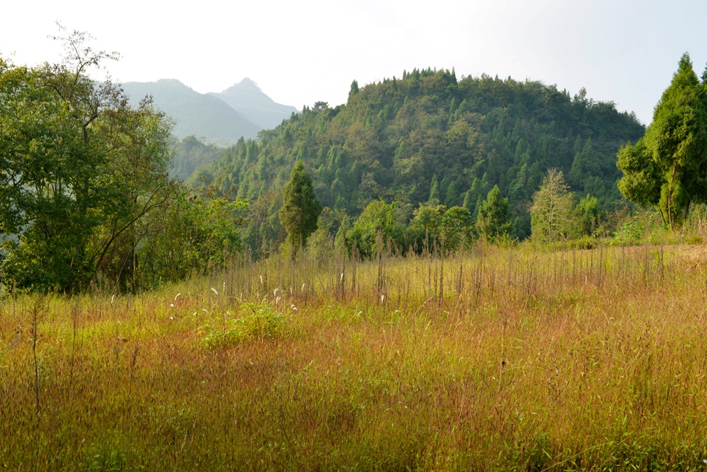 DSC_9462.JPG