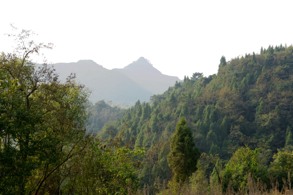 DSC_9463.JPG