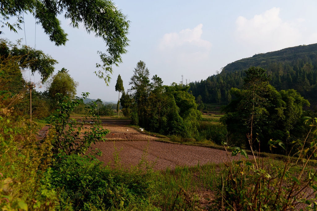 DSC_9475.JPG