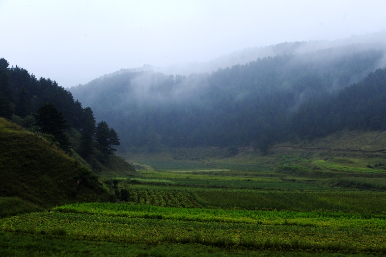 _MG_7016.JPG