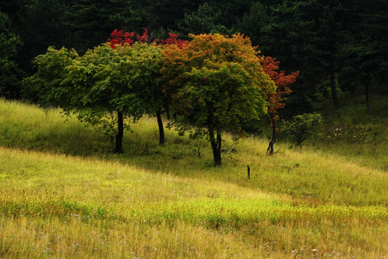_MG_6874.JPG