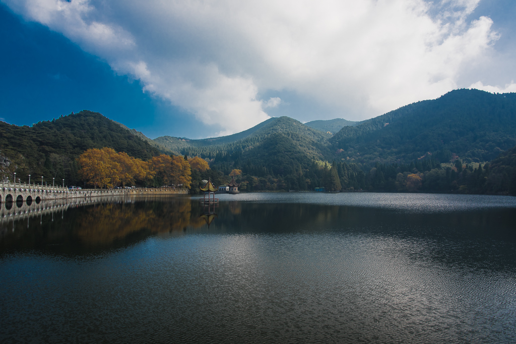 DSC_9748.jpg