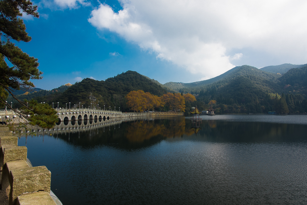DSC_9750.jpg