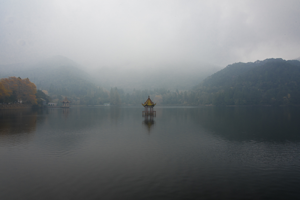 DSC_9898.jpg