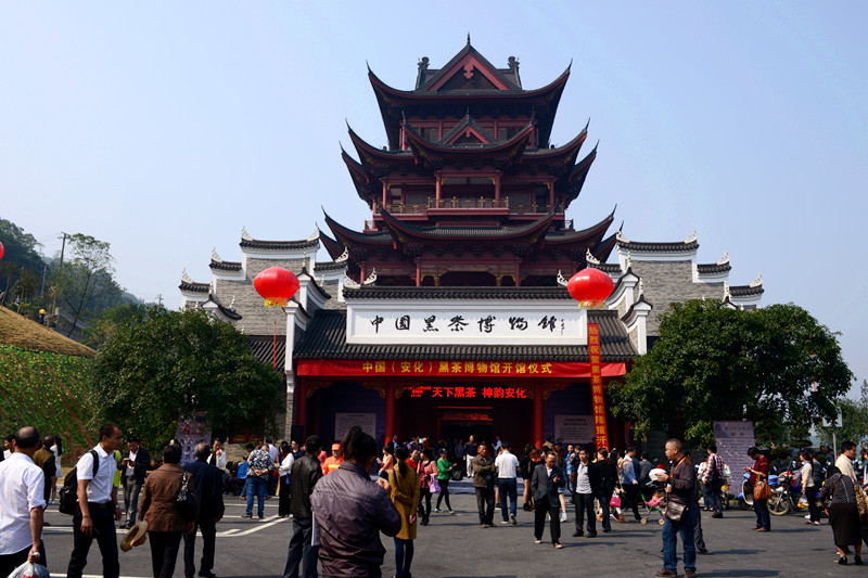 DSC_1101_副本.jpg