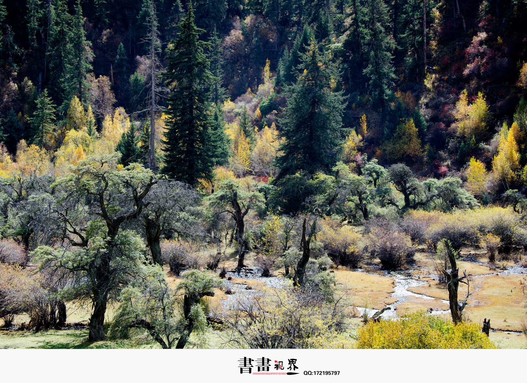 NIKON D700013.jpg
