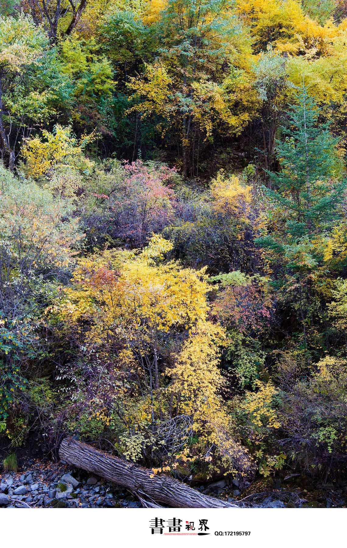 NIKON D700003.jpg