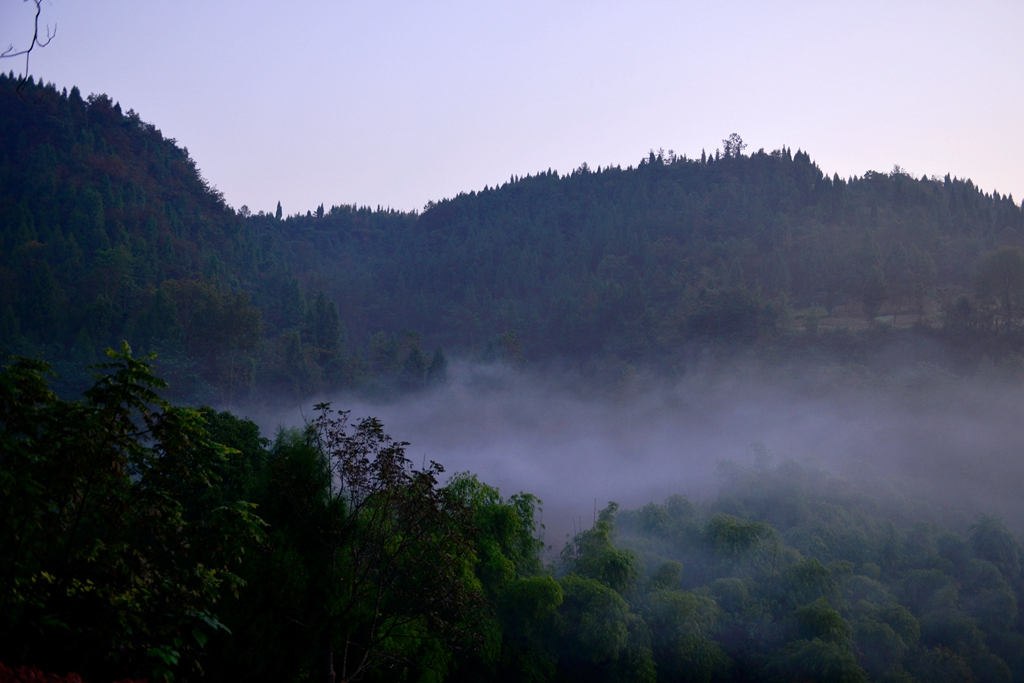 DSC_9526.JPG