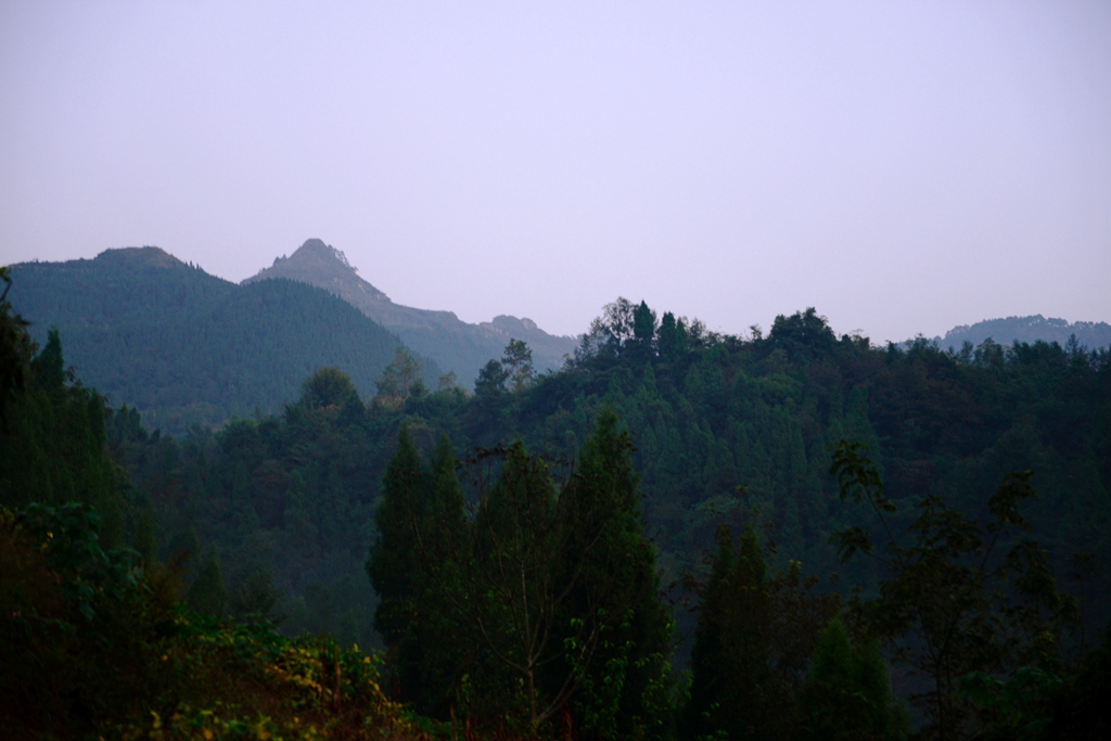 DSC_9529.JPG