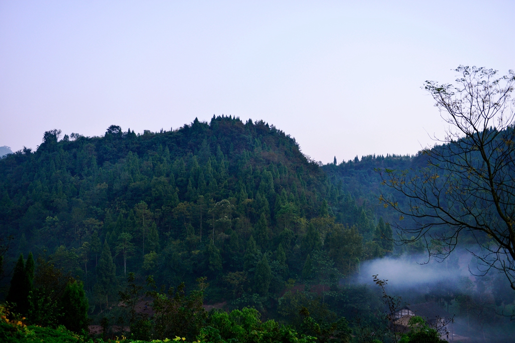 DSC_9530.JPG