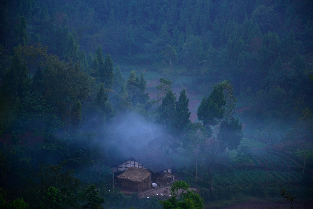 DSC_9534.JPG