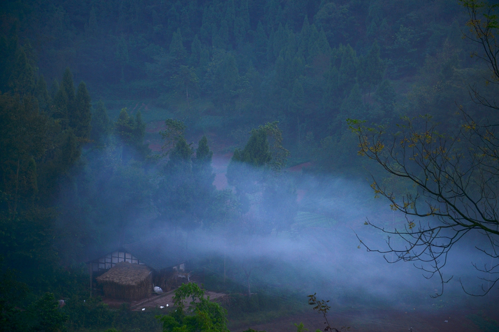 DSC_9537.JPG