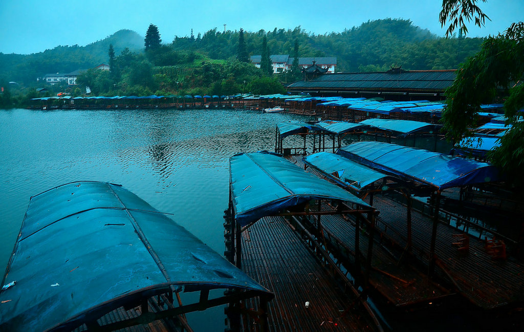 DSC_7902.jpg