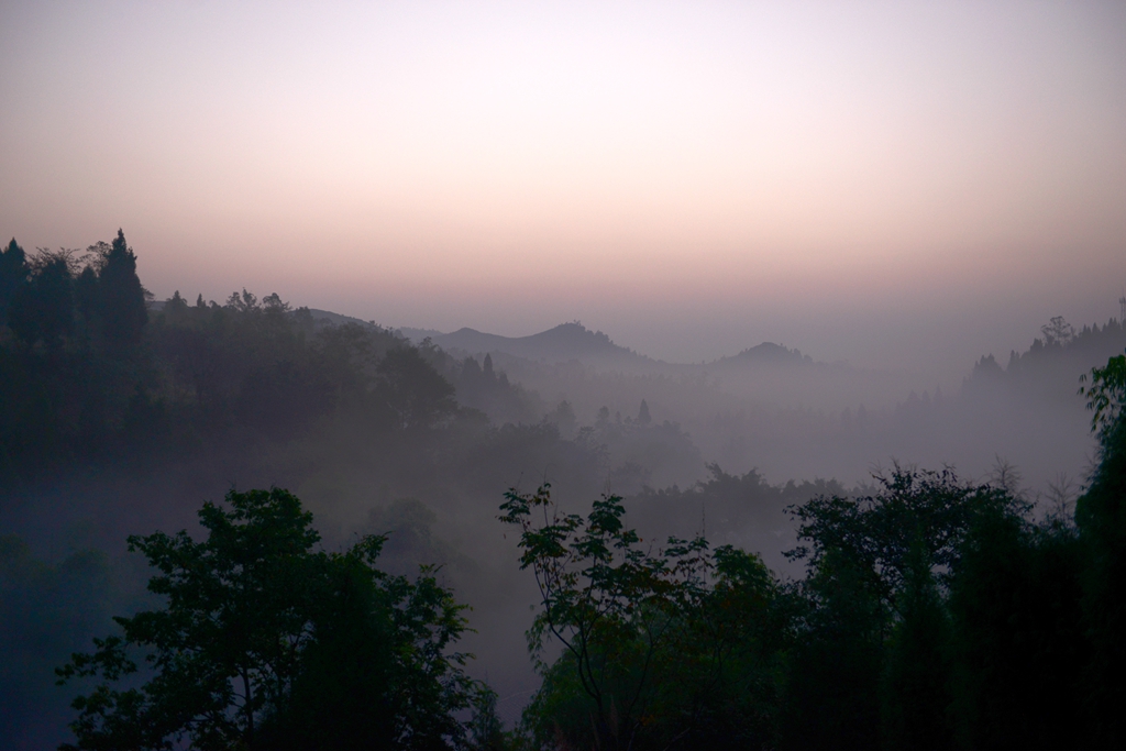DSC_9527.JPG