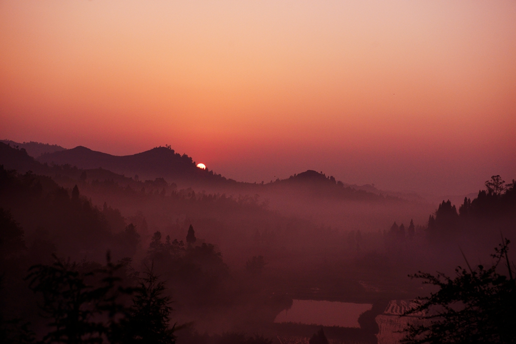 DSC_9542.JPG