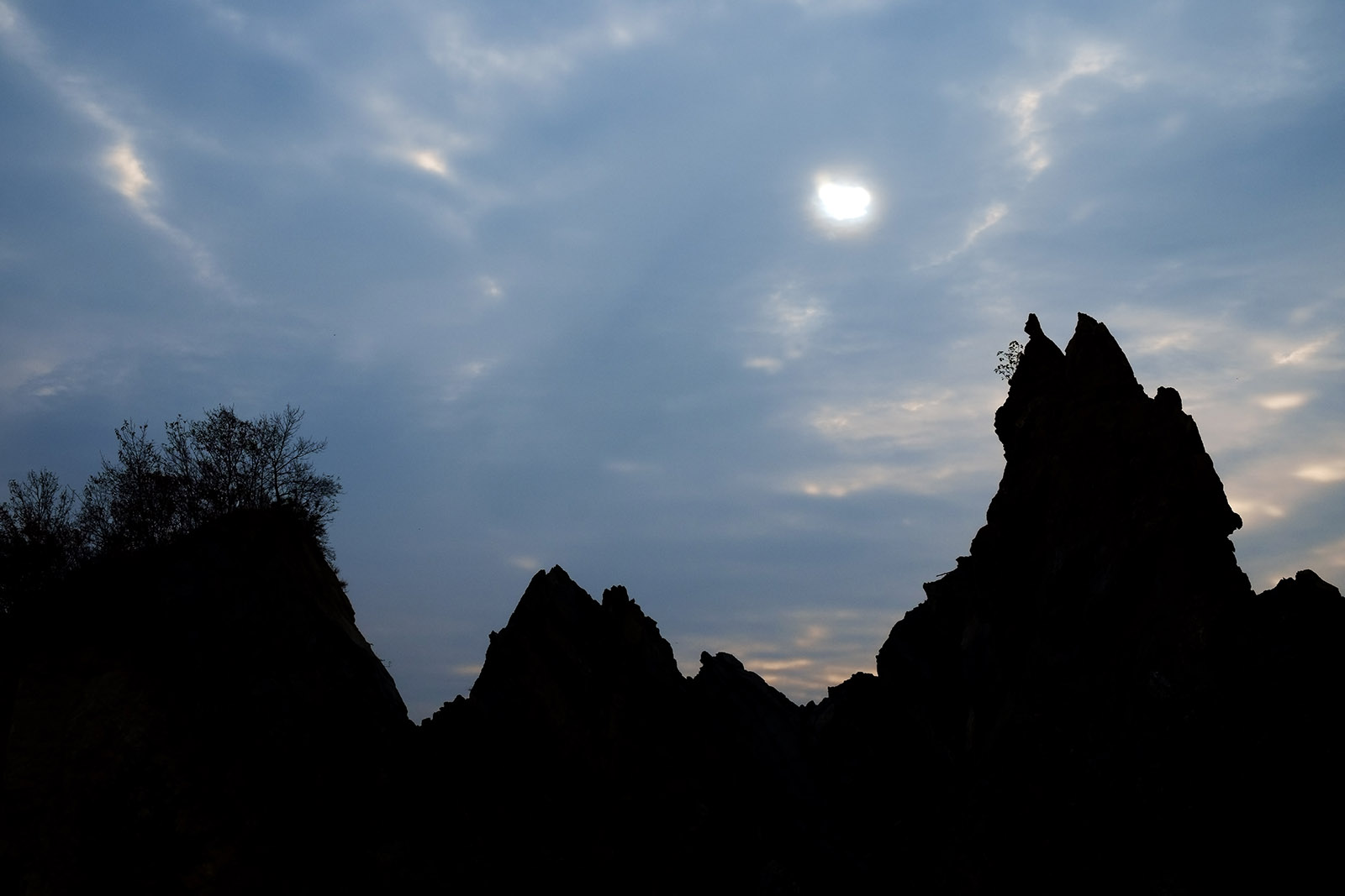 DSCF8571副本.jpg