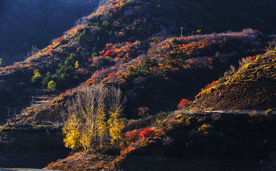 _DSC9863.jpg
