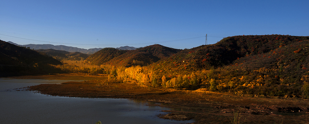 _DSC9865.jpg