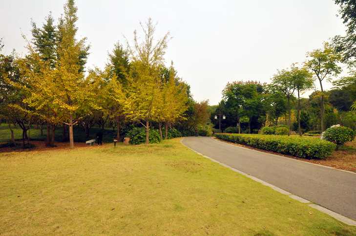 DSC_0016.JPG