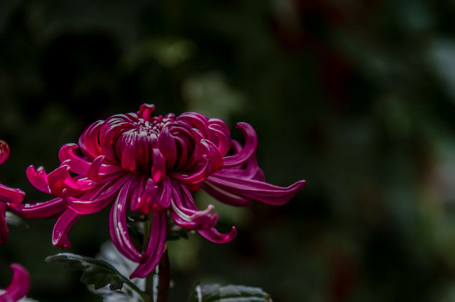 20151031-_MG_3119_副本.jpg
