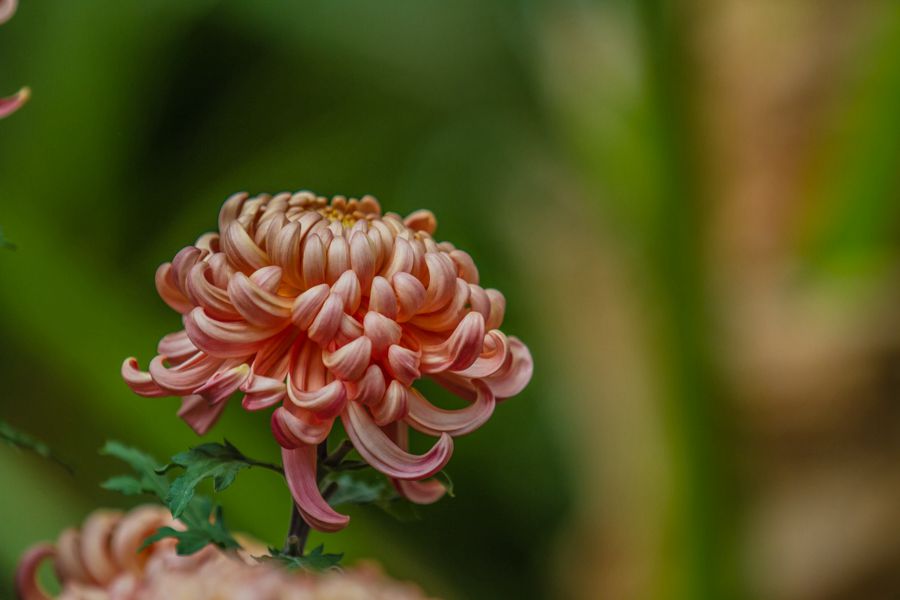 20151031-_MG_3149_副本.jpg