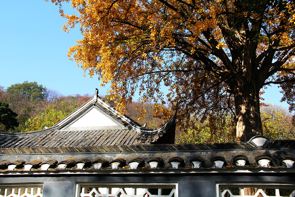 滁州-丰乐亭-3.jpg