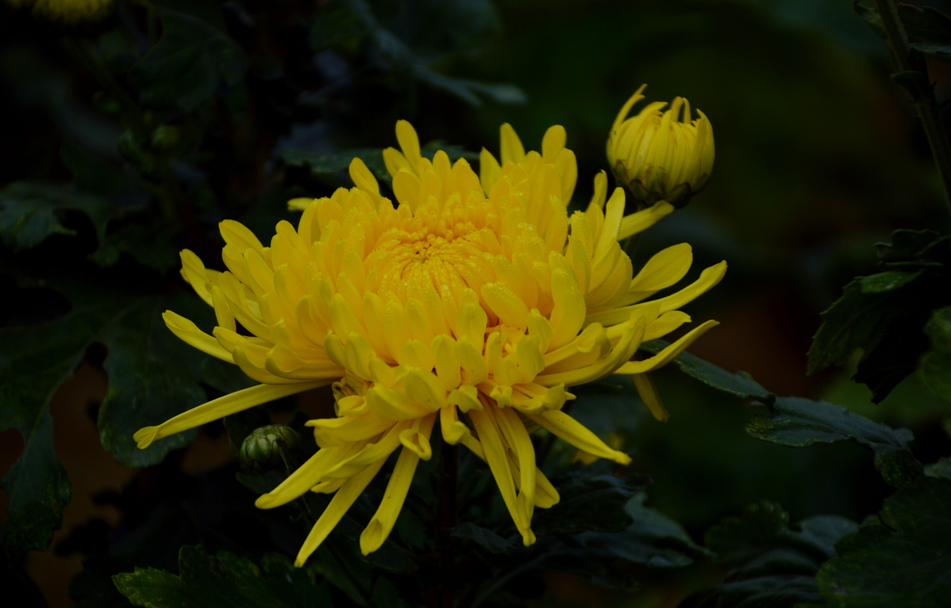 DSC_0164.JPG