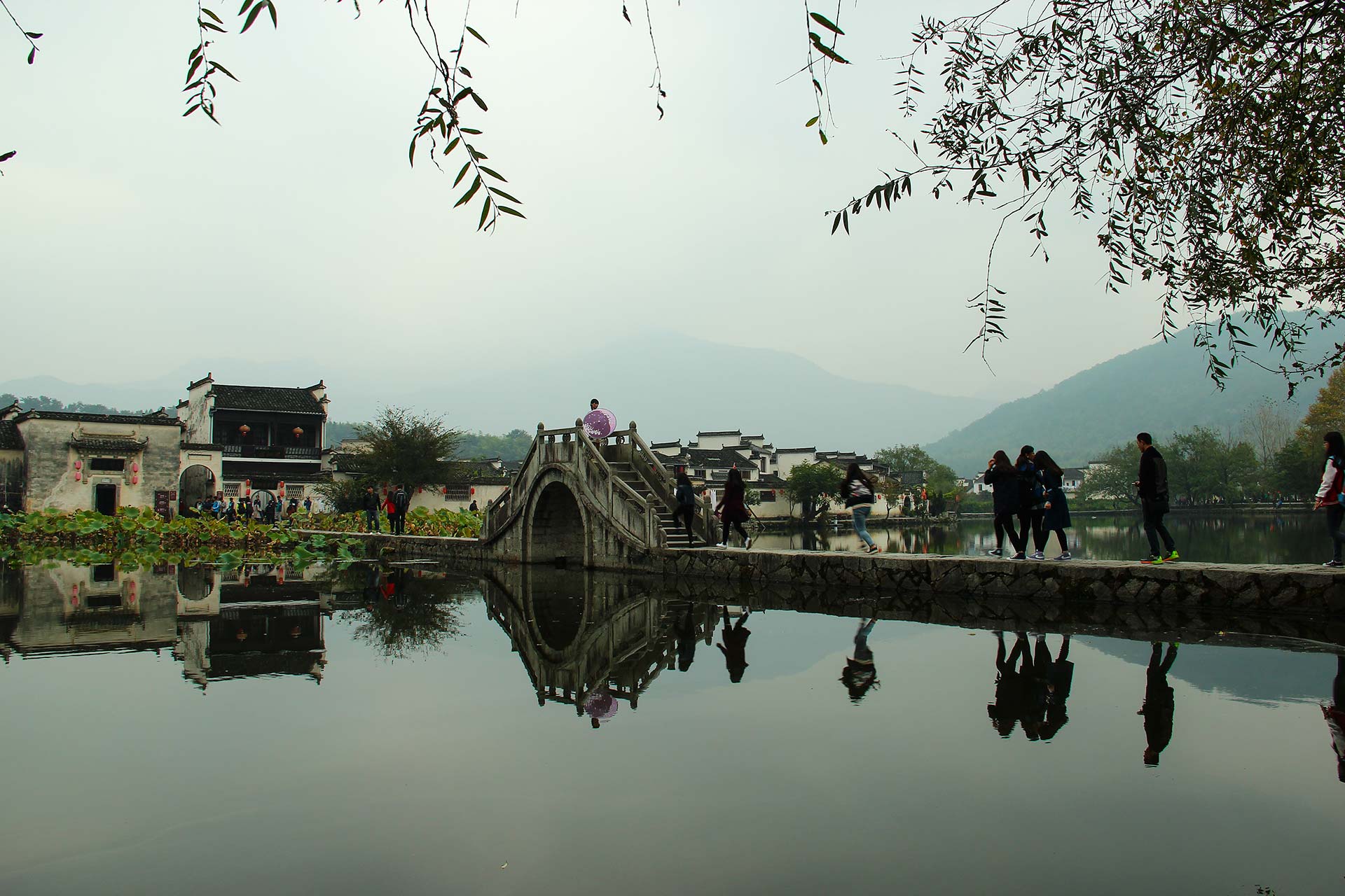 IMG_87041.jpg