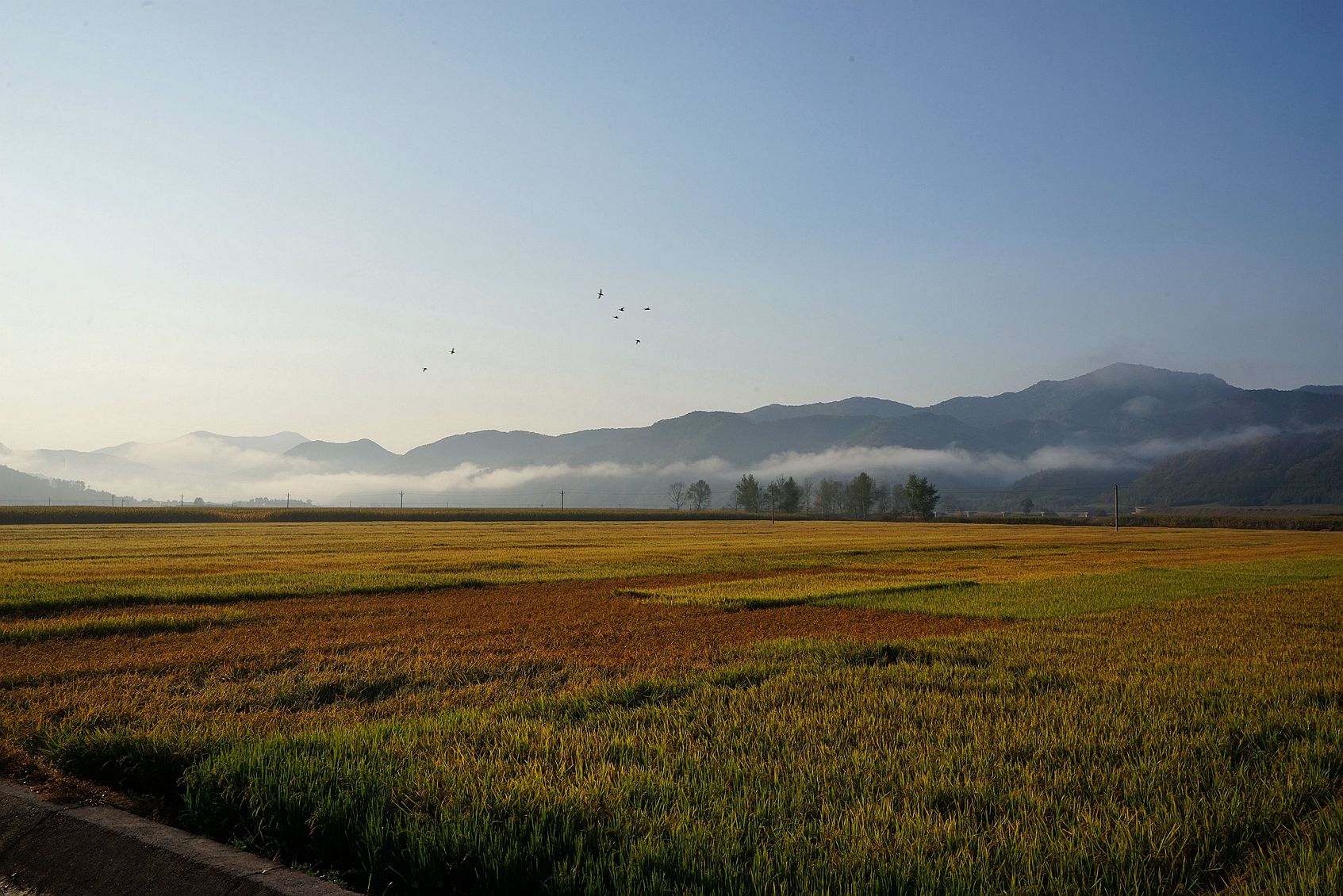 DSC07813_副本.jpg