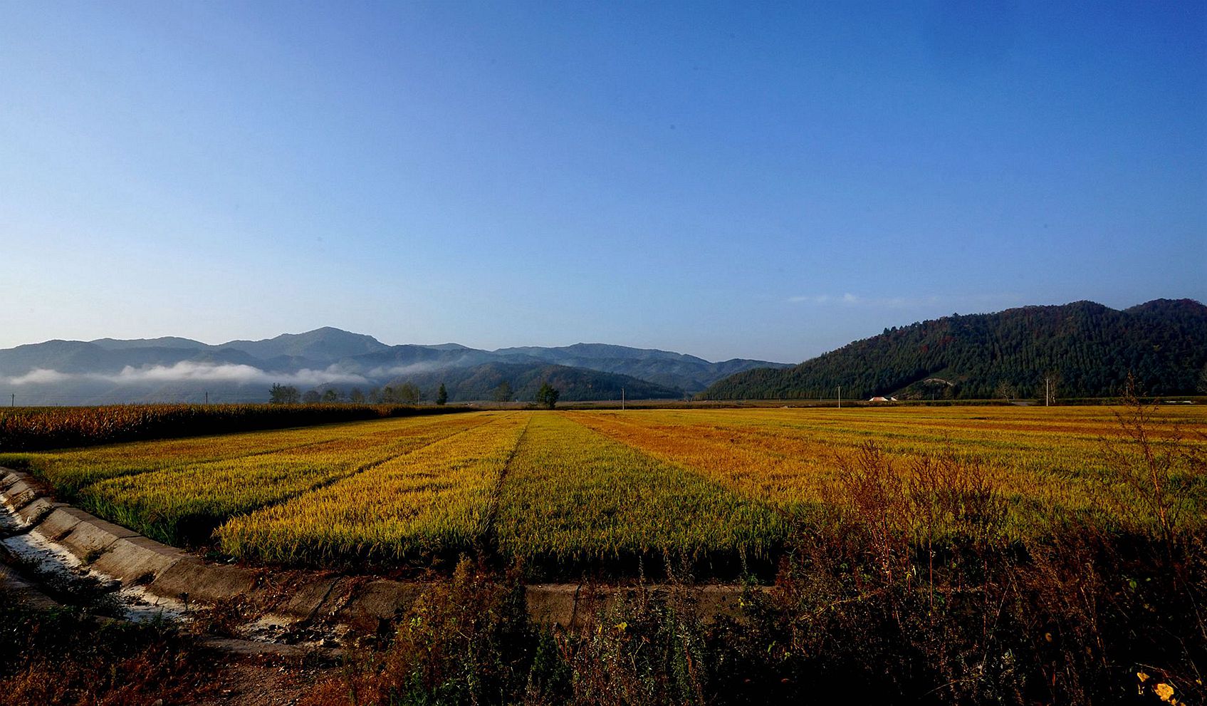 DSC07819_副本_副本.jpg