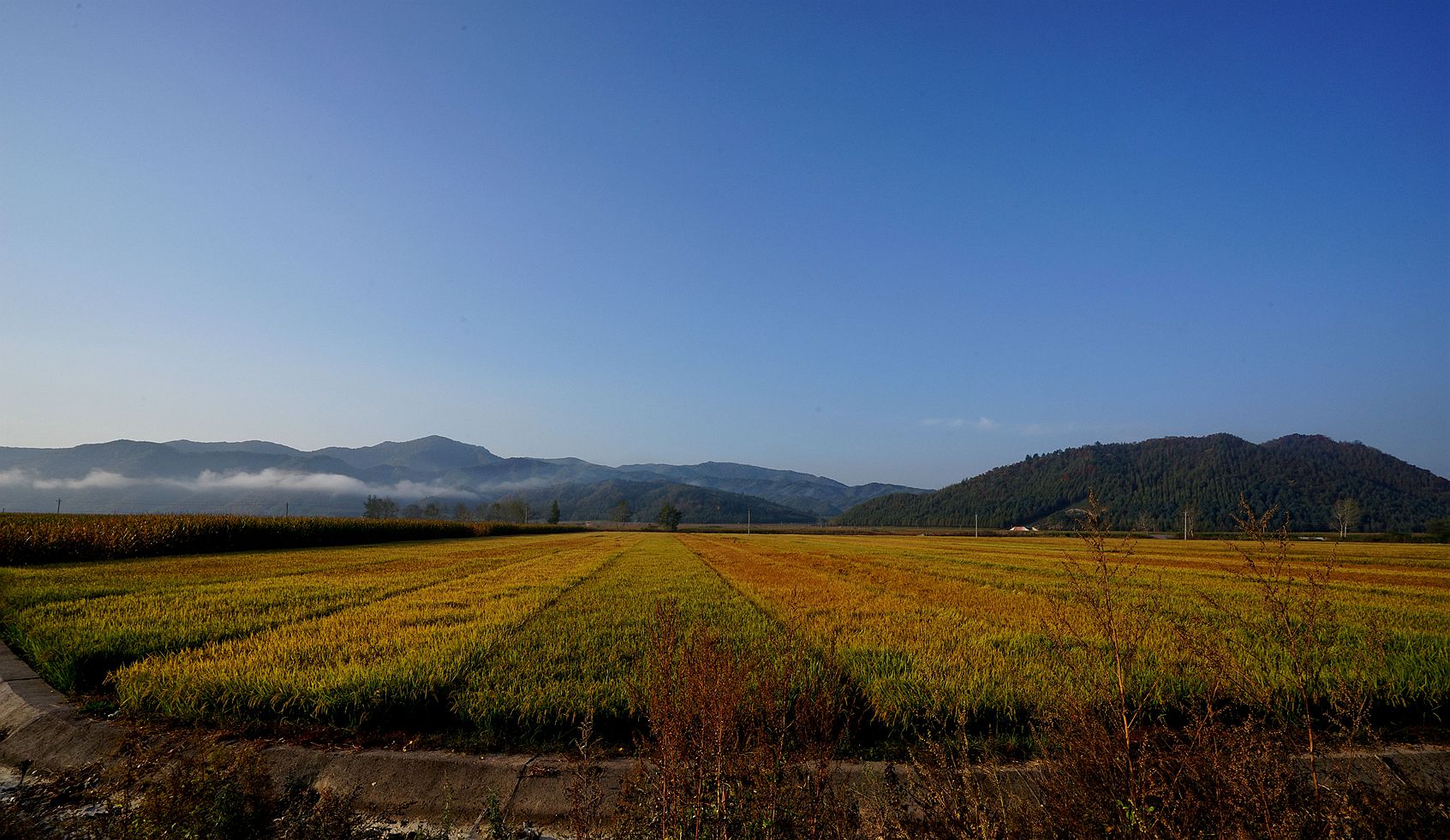 DSC07820_副本.jpg