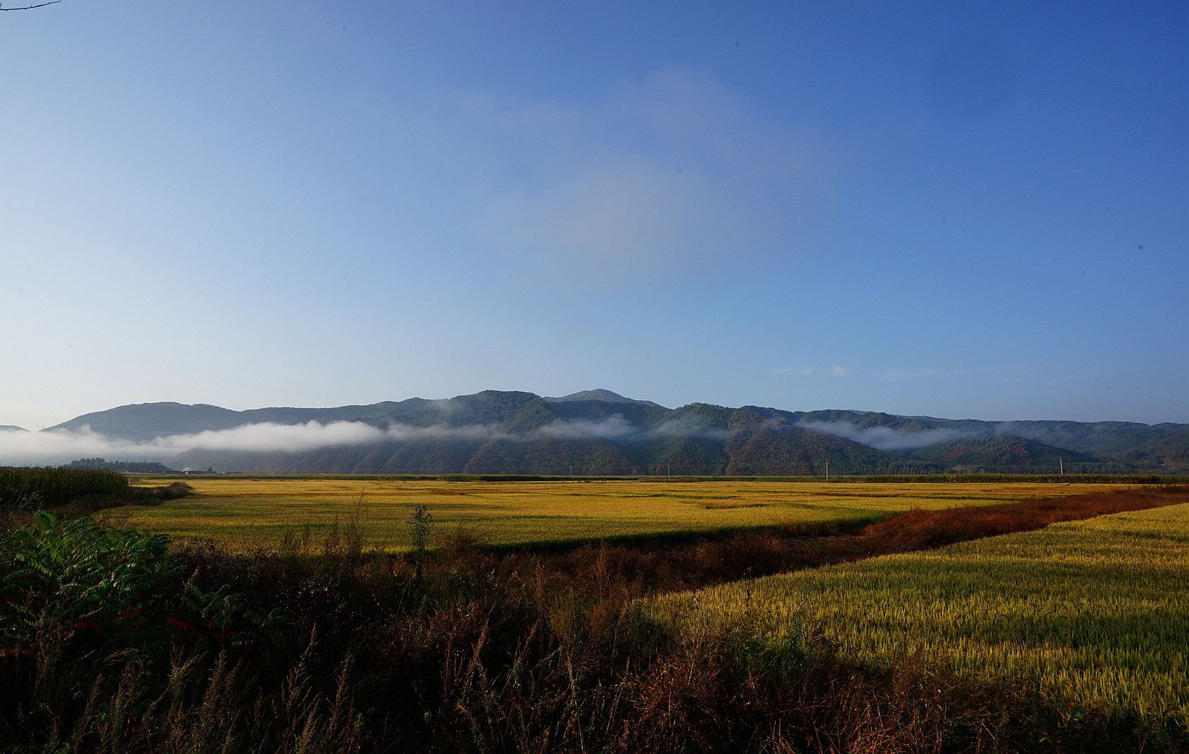 DSC07824_副本.jpg