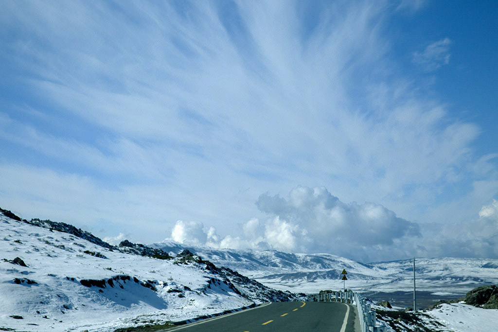 _T0A4995.jpg