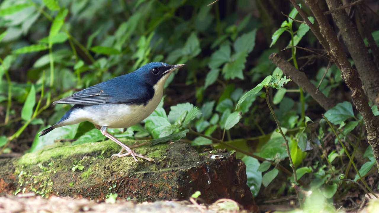 20130914-IMG_02871.jpg