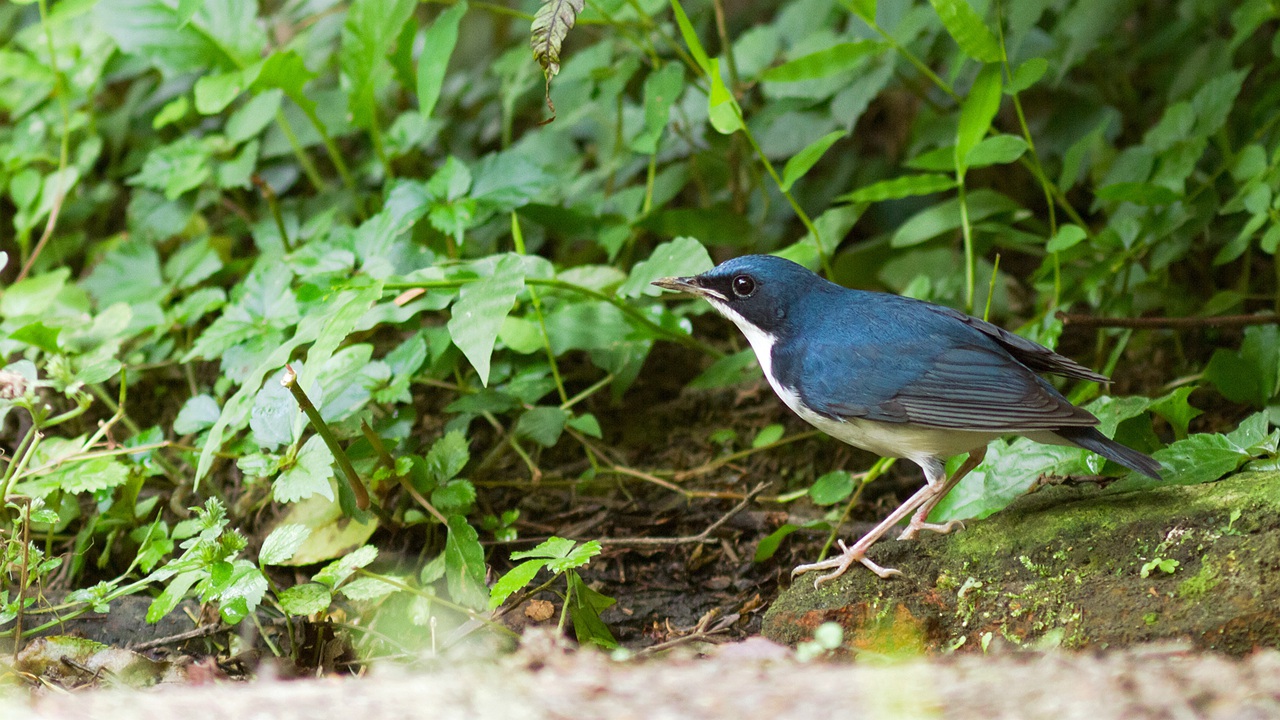 20130914-IMG_02762.jpg