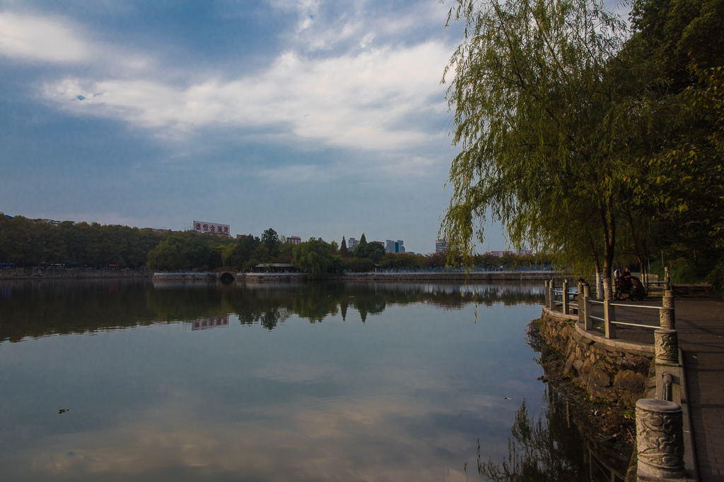 DSC_0141.jpg