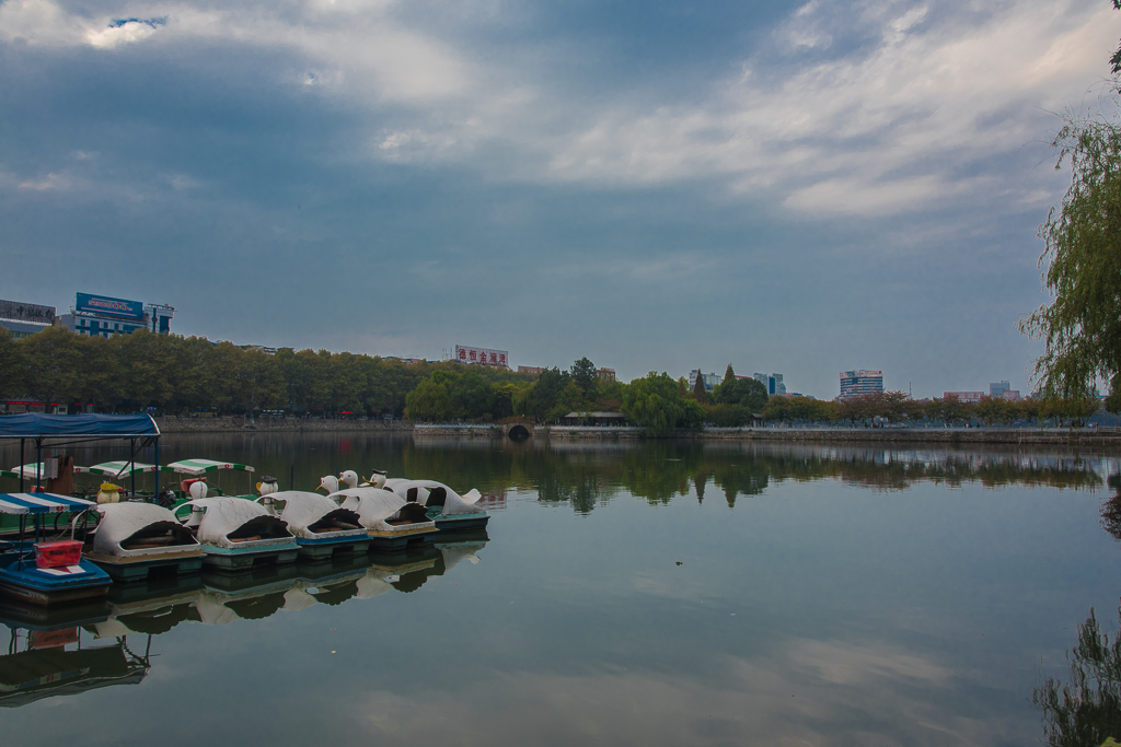 DSC_0144.jpg